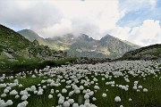 I Laghi della Val Sambuzza e il Pizzo Zerna (2572 m) il 22 luglio 2019  - FOTOGALLERY